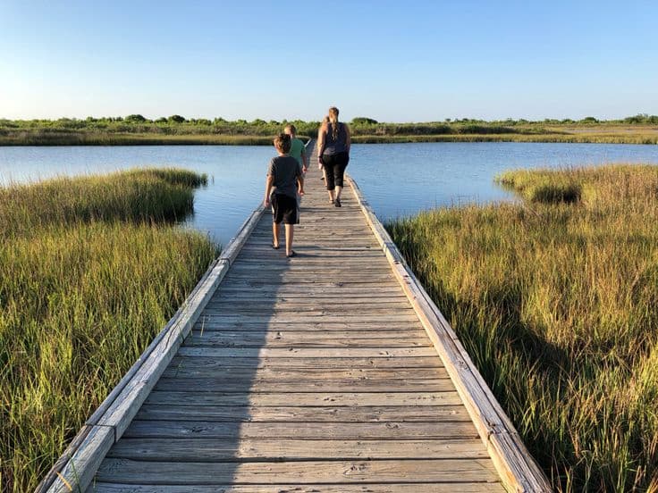 Things to Do in Galveston This Summer photo 1